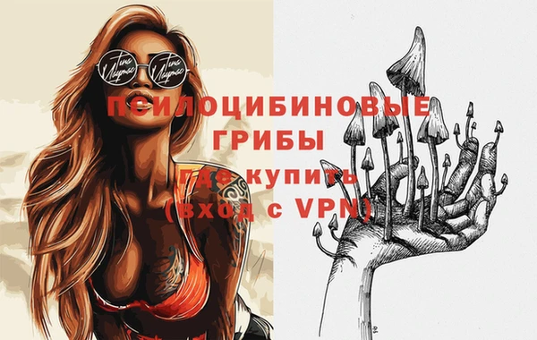 ПСИЛОЦИБИНОВЫЕ ГРИБЫ Бугульма
