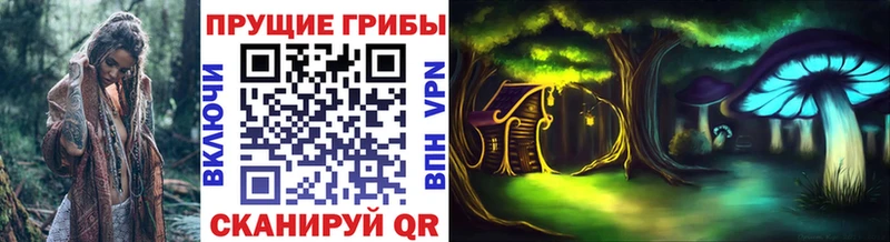 Галлюциногенные грибы Psilocybe где можно купить hydra сайт Кизляр